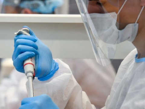 “Koronaya yoluxan cavanlar tez ağırlaşır”