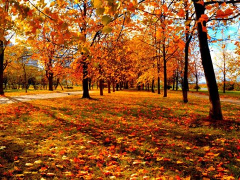 Bu həftə Azərbaycana payız fəsli daxil olacaq