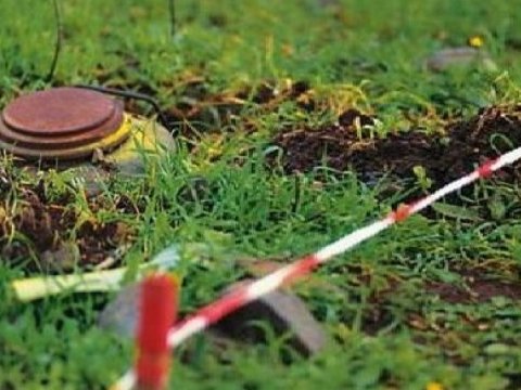 Azad olunan ərazilərdə aşkarlanan minaların sayı açıqlandı  