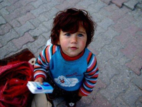 Deputat salfet satan azyaşlılardan DANIŞDI