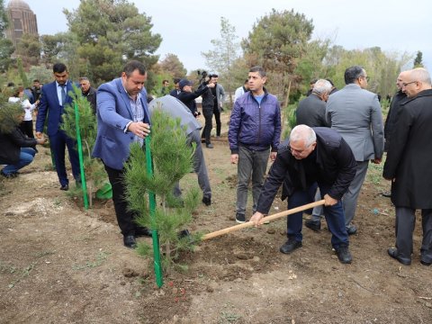 Birbank istifadəçiləri Gəncədə ağac əkdi
