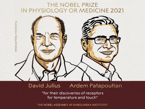 Nobel mükafatı qaliblərinin adları açıqlandı - FOTO