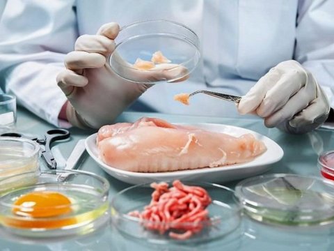 Qida təhlükəsizliyi ilə bağlı yeni tədbirlər görüləcək