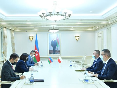 Sahibə Qafarova Polşa səfirini qəbul edib
