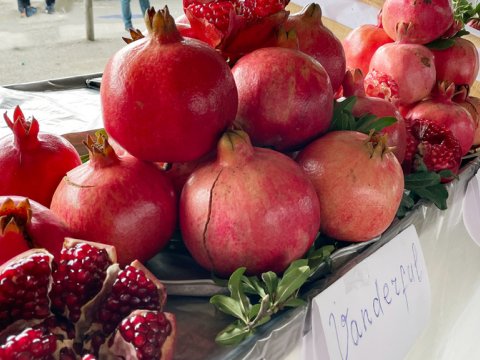 Kürdəmirdə nar yarmarkası - FOTO