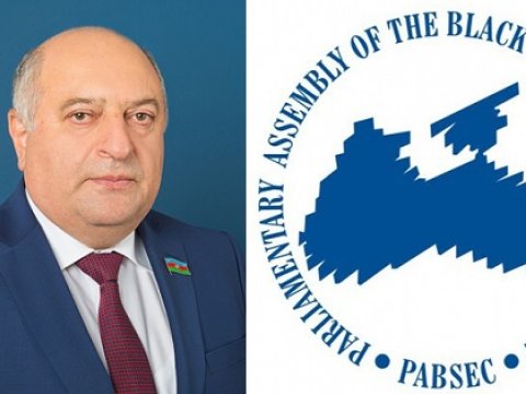 Azərbaycanlı deputata beynəlxalq təşkilatda vəzifə verildi