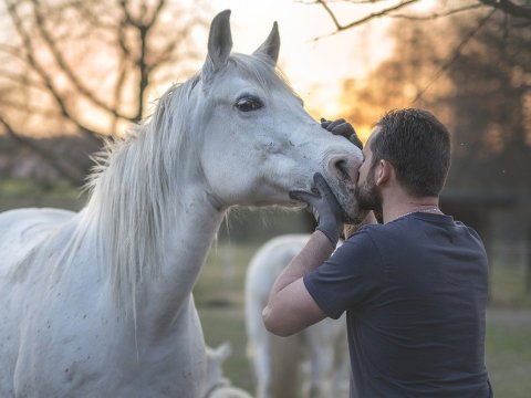 Atdan insana keçən virus AŞKARLANDI