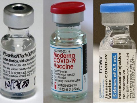 Son sutkanın peyvənd statistikası