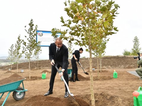 İlham Əliyev və Mehriban Əliyeva Mərkəzi Şəhər Parkında ağac əkdilər - FOTO