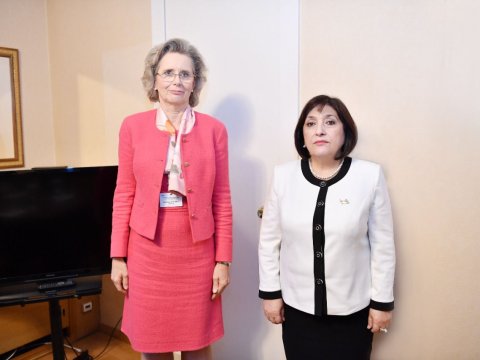 Sahibə Qafarova ATƏT PA-nın sədri ilə görüşdü - FOTO