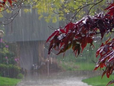Hava kəskin dəyişəcək, temperatur 7 dərəcə enəcək - XƏBƏRDARLIQ