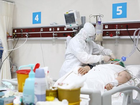 Gürcüstanın virus mənzərəsi