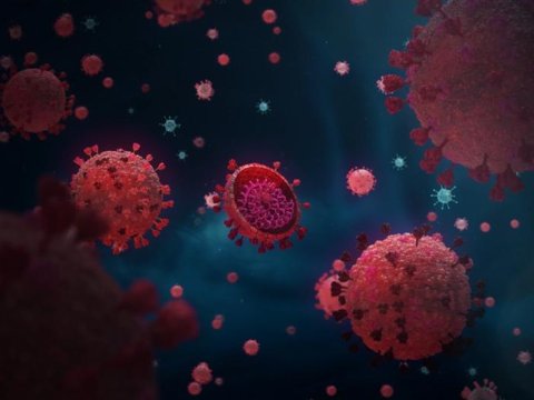 Dünyanın koronavirus MƏNZƏRƏSİ