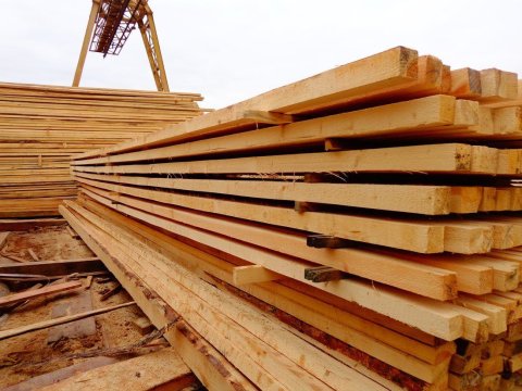 Qanunsuz meşə materialı AŞKARLANDI
