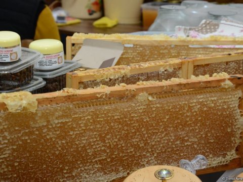 Yarmarkada ən çox cökə balı SATILIR
