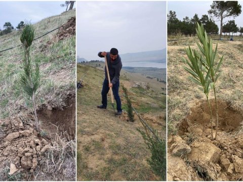 Tinglərlə bağlı xidmət yaradıldı