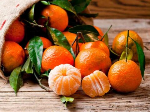 Rusiyadan Türkiyəyə naringi QADAĞASI