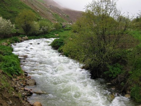 Oxçuçayın çirkləndirilməsinə qarşı proqram hazırlanır