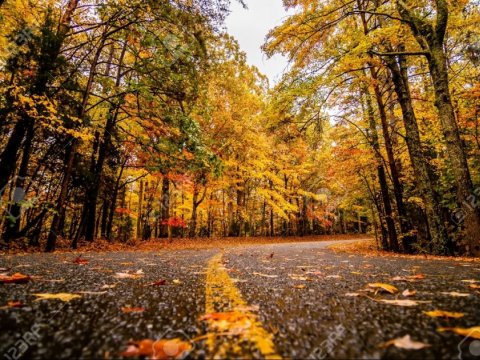 Noyabrda gözlənilən hava - Aylıq PROQNOZ