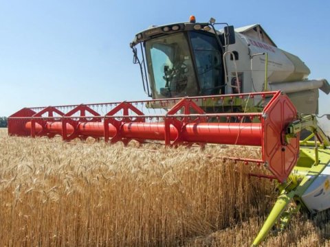 Dünyada taxıl kəskin BAHALAŞDI