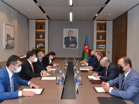 Nazir Braziliya Senatının üzvü ilə görüşdü