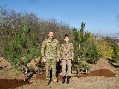 Prezident və birinci xanım Cıdır düzündə ağac əkdilər - FOTOLAR