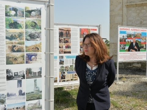 Fransa senatorunun BƏYANATI