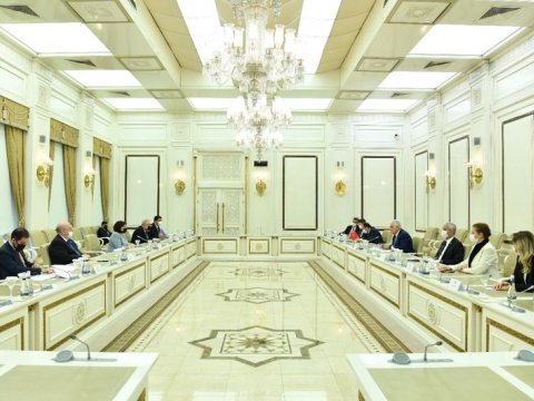 Sahibə Qafarova türkiyəli deputatlarla görüşdü