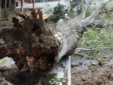 Bakıda külək yük maşınını aşırdı - FOTOLAR