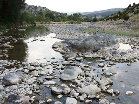 Qrunt sularının təmizlənməsi üçün vəsait ayrılacaq