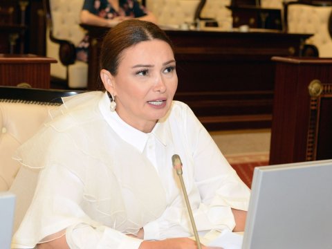 Şəhid ailələrinin evlə təminatında normativlərdən imtina etməliyik