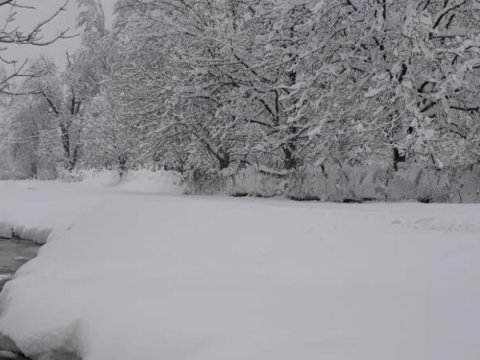Bu günün hava PROQNOZU