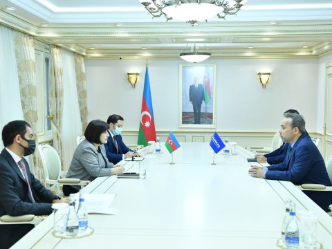 Sahibə Qafarova TÜRKPA-nın Baş katibi ilə görüşdü  