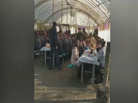 Qəbələdə toy təşkilatçıları cərimələndi