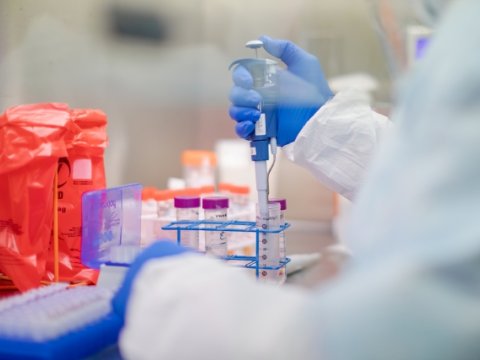 Azərbaycanda “Omikron”la bağlı yoxlama BAŞLADI