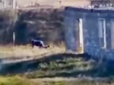 Cəbrayılda minaya düşən fəhlənin VİDEOSU