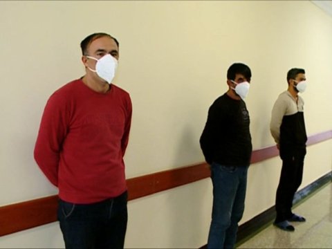 Göygöldə it döyüşdürənlər SAXLANILDI