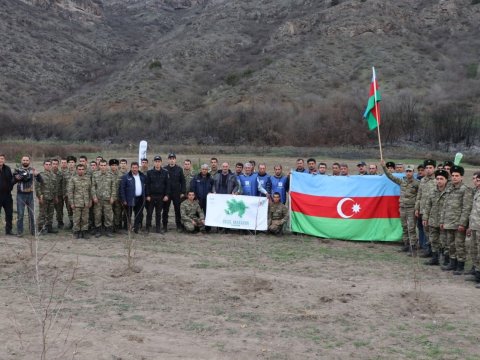 Rəsmilər Laçında ağac əkdilər - FOTO