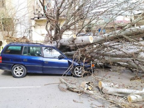 Külək əsir, avtomobil əzilir - Ziyanı kim ödəməlidir?