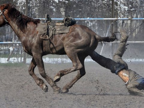 58 yaşlı kişi atdan yıxılaraq ölüb