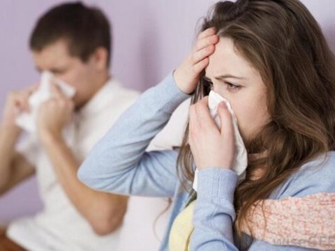 Qripə yoluxanlar ARTIB