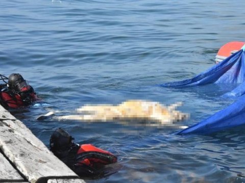 Baş Prokurorluqdan Xəzərdə tapılan insan skeleti ilə bağlı açıqlama