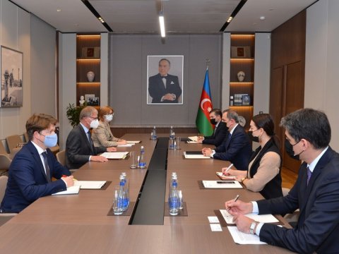 Almaniyanın yeni hökuməti ilə yüksək əməkdaşlığa ümid edirik - Nazir