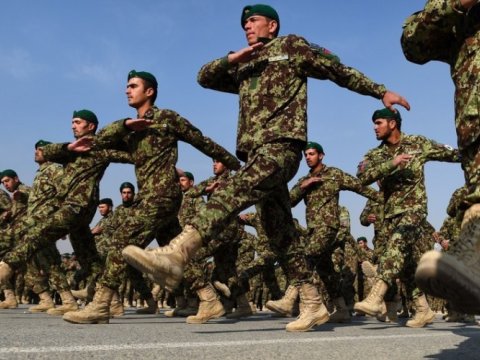 “Taliban” nizami ordu yaradır