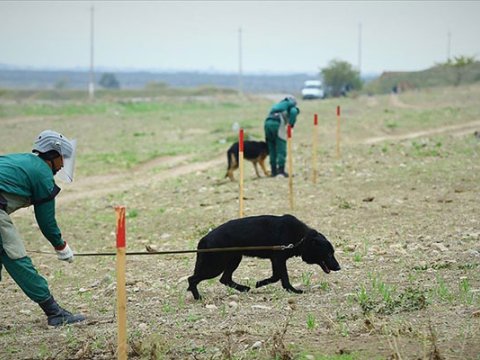 Yeni minaaxtaran alayı yaradıldı