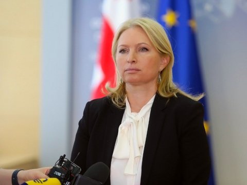 Gürcüstanın iqtisadiyyat naziri Azərbaycana GƏLİR