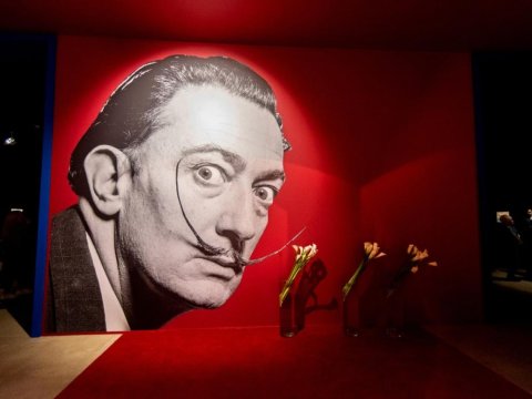 Salvador Dali və Edisonun “yaradıcı sirri”