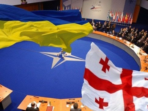 Gürcüstan və Ukraynanın NATO-ya daxil olması üçün şərtlər