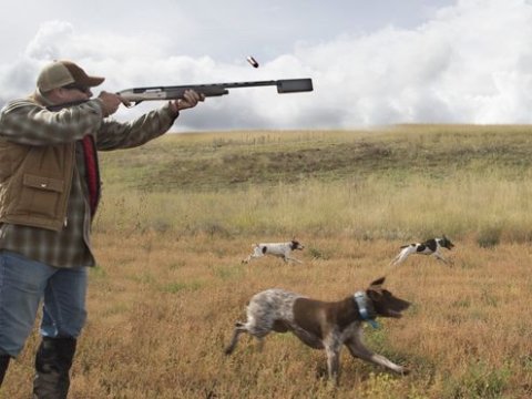 Deputatdan ov turizminin qanuna daxil edilməsilə bağlı TƏKLİF