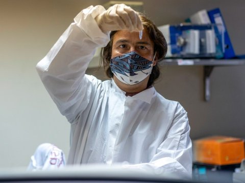 “Omicron”a görə ölüm artacaq